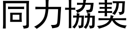 同力協契 (黑体矢量字库)