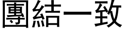 团结一致 (黑体矢量字库)