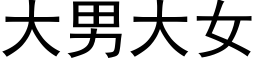 大男大女 (黑体矢量字库)