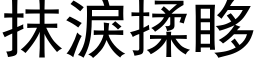 抹淚揉眵 (黑体矢量字库)