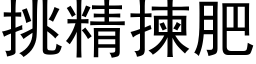 挑精揀肥 (黑体矢量字库)