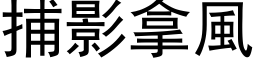 捕影拿風 (黑体矢量字库)