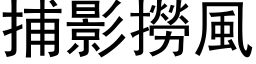 捕影捞风 (黑体矢量字库)