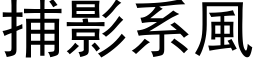 捕影系風 (黑体矢量字库)