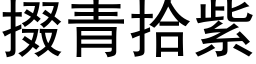 掇青拾紫 (黑体矢量字库)