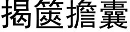 揭篋担囊 (黑体矢量字库)