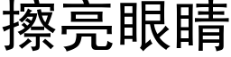 擦亮眼睛 (黑体矢量字库)