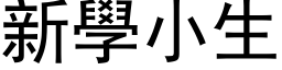 新学小生 (黑体矢量字库)