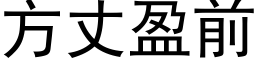 方丈盈前 (黑体矢量字库)