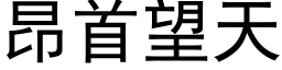 昂首望天 (黑体矢量字库)