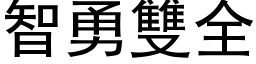 智勇双全 (黑体矢量字库)