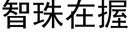 智珠在握 (黑体矢量字库)