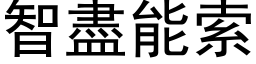 智盡能索 (黑体矢量字库)