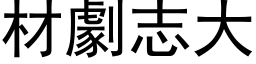 材劇志大 (黑体矢量字库)