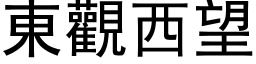 東觀西望 (黑体矢量字库)