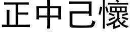 正中己懷 (黑体矢量字库)