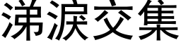 涕泪交集 (黑体矢量字库)