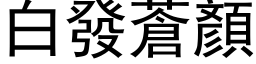 白发苍顏 (黑体矢量字库)