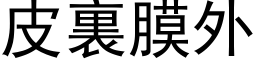 皮裏膜外 (黑体矢量字库)