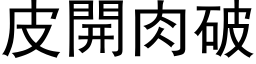 皮開肉破 (黑体矢量字库)