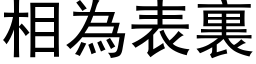 相為表裏 (黑体矢量字库)