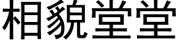 相貌堂堂 (黑体矢量字库)