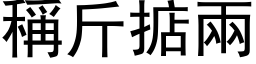 稱斤掂兩 (黑体矢量字库)