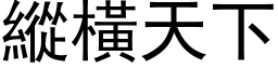 縱橫天下 (黑体矢量字库)