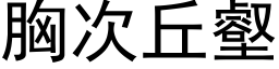 胸次丘壑 (黑体矢量字库)