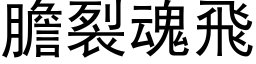 胆裂魂飞 (黑体矢量字库)