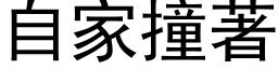 自家撞著 (黑体矢量字库)