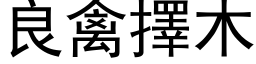 良禽择木 (黑体矢量字库)