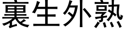 裏生外熟 (黑体矢量字库)