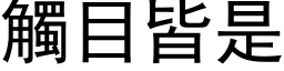 触目皆是 (黑体矢量字库)