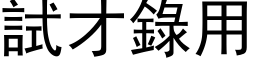 试才录用 (黑体矢量字库)