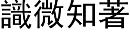 識微知著 (黑体矢量字库)