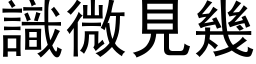 識微見幾 (黑体矢量字库)