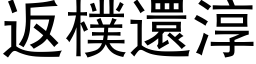 返樸還淳 (黑体矢量字库)