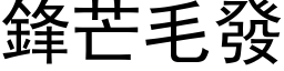 鋒芒毛發 (黑体矢量字库)