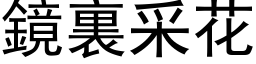 鏡裏采花 (黑体矢量字库)