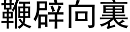 鞭辟向裏 (黑体矢量字库)