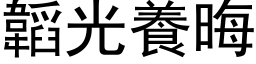 韜光養晦 (黑体矢量字库)