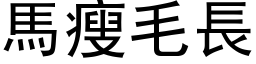 马瘦毛长 (黑体矢量字库)