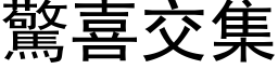 惊喜交集 (黑体矢量字库)