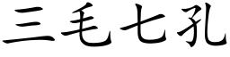 三毛七孔 (楷体矢量字库)