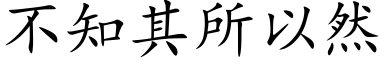 不知其所以然 (楷体矢量字库)