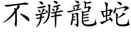 不辨龍蛇 (楷体矢量字库)