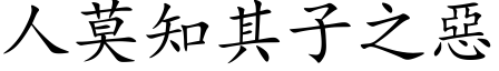 人莫知其子之惡 (楷体矢量字库)