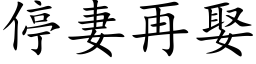 停妻再娶 (楷体矢量字库)