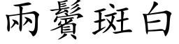 兩鬢斑白 (楷体矢量字库)